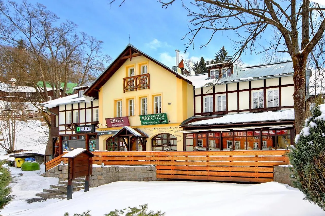 Hotel Erika Špindlerŭv Mlýn